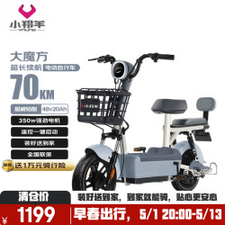 小羚羊 电动自行车大魔方天能/超威铅酸48V20AH续航70km免费送装上门源彩灰