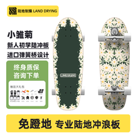 陆地制燥 Land Drying 陆地冲浪板成人初学者陆冲板弹簧桥专业路冲板