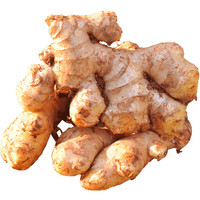 中鲜生 云南小黄姜现挖生姜 2025年新姜 小黄姜 1斤 净重