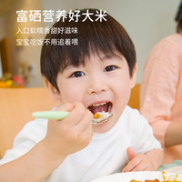 天汇优农东北黑龙江富硒大米方正大米寒地长粒香粳米2024年新大米10斤 富硒大米 10斤