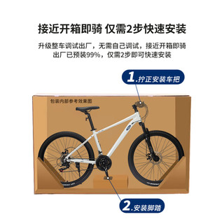 福特Ford福特山地车成人变速单车女款LM380男式山地自行车 LM380骑士灰(+油碟) 24速 26寸 x  21-24速
