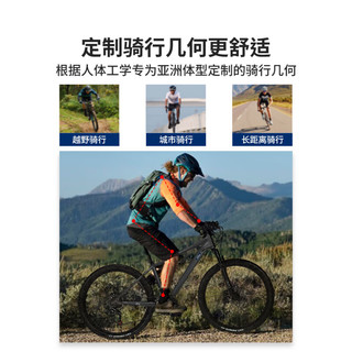 福特Ford福特山地车成人变速单车女款LM380男式山地自行车 LM380骑士灰(+油碟) 24速 26寸 x  21-24速