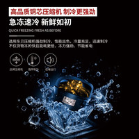  HLAOXUE 大容量 商用冷柜  400-600L