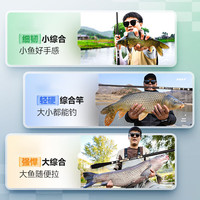 达瓦黄金甲鲫鱼竿鱼竿手竿十大品牌超轻超硬超细28高碳素19调微物钓鱼竿全套 2.7m 4H37调【轻量手感】双竿稍+礼包