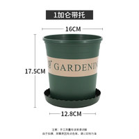 老花农 加仑盆加厚