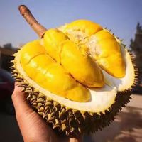 梦茜儿 泰国甲仑榴莲 新鲜水果一整个带壳巴掌榴莲浓郁丝滑爆甜 A果【7-8斤】1-2个果 普通快递