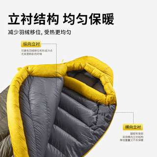 SEA TO SUMMIT户外羽绒鹅绒睡袋露营防寒睡袋被子二合一极地探险加厚保暖睡袋 【约493克/-1℃】高品质鹅绒睡袋