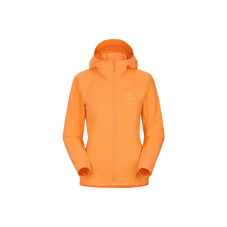 始祖鸟（ARC'TERYX）GAMMA HOODY女款软壳衣休闲户外城市防风透气连帽冲锋衣夹克外套 29481黑色22款SL S