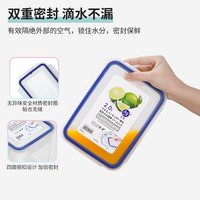 LustroWare日本保鲜盒食品级冰箱便携外出密封收纳盒 银离子抗菌保鲜盒（日本制）2.6L -2只装(A-2176（B）)