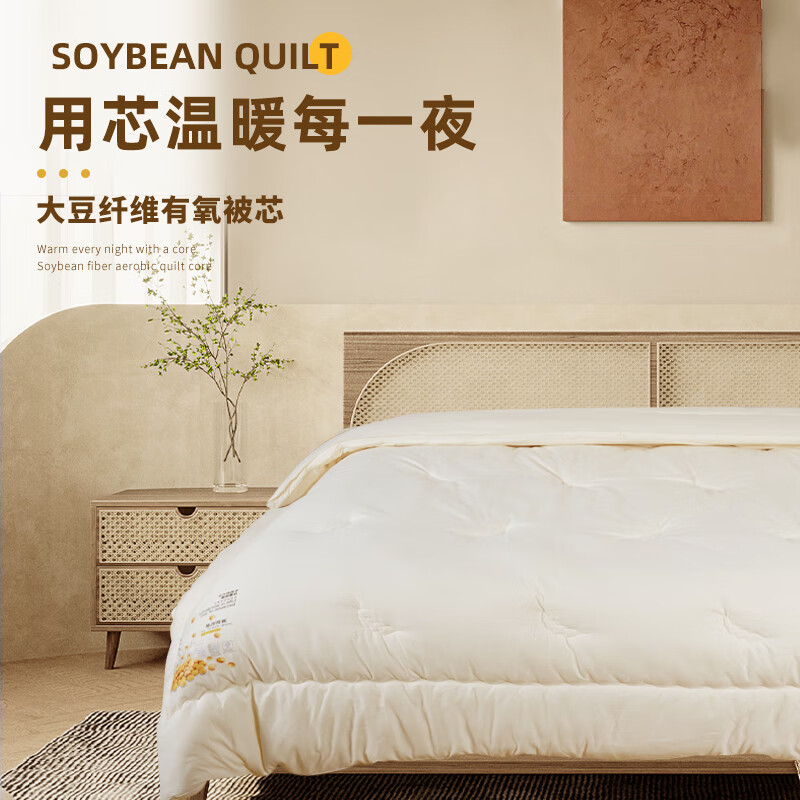 睡眠博士（AiSleep）睡眠博士航天绒仿生羽绒被 双人冬被 保暖被芯200*230cm 【约7斤】