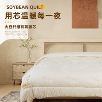 睡眠博士（AiSleep）睡眠博士航天绒仿生羽绒被 双人冬被 保暖被芯200*230cm 大豆有氧被【约7斤】