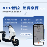 雅迪 Yadeaya迪电动自行车G25-D电瓶车智能电动车超长续航电单车 标准版约50公里/48M20Ah铅酸电