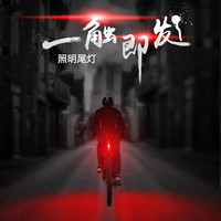 洛克兄弟(ROCKBROS)山地自行车骑行尾灯USB充电警示灯夜骑尾灯前灯LED装备 黑色