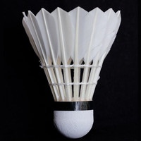 超（CHAO）羽毛球耐打训练球橙超金红超王小羽粉超比赛稳定耐打黄超粉超球 12只装 1筒 银超（76速）