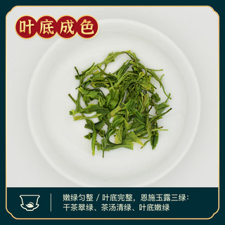 恩施玉露（ENSHIYULU）2025年新茶 蒸青绿茶品鉴装旅行装试饮茶叶20g