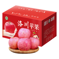 亨迅 脆甜冰糖心 红富士苹果