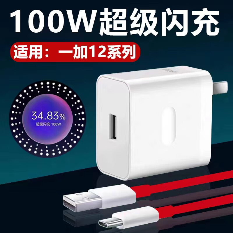  详致 100W超级闪充 手机充电器+充电线  单Type-C口 线充套装 100W