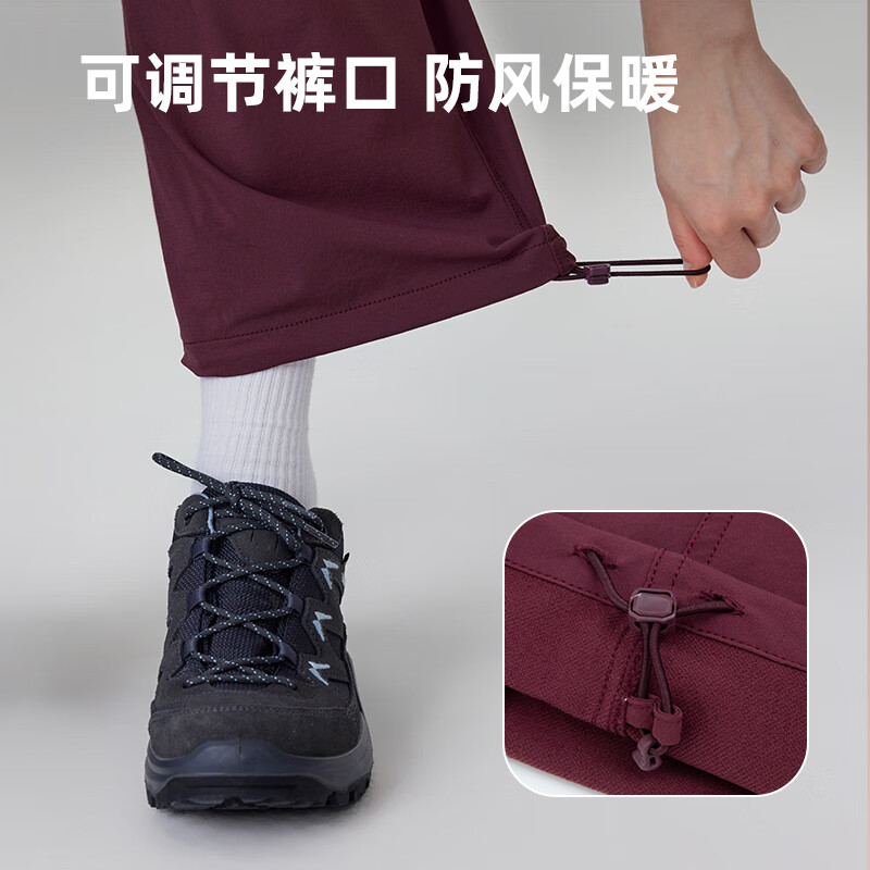萸紫色