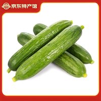 鸢语 山东 精品水果黄瓜 5斤