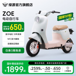 绿源 ZOE 新国标电动自行车