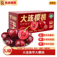 斯可沁 智利车厘子大樱桃水果 年货节 80颗JJJ特级大果白金礼盒