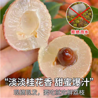 果淳乐荔枝【多地次日达】新鲜海南桂花香大荔枝 当季水果礼盒 新鲜荔枝2斤【老树大果】净1.5斤
