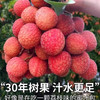果淳乐荔枝【多地次日达】新鲜海南桂花香大荔枝 当季水果礼盒 新鲜荔枝5斤【甄选果】净重4.5斤