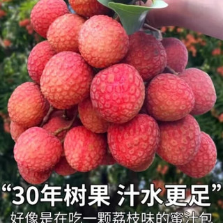 果淳乐荔枝【多地次日达】新鲜海南桂花香大荔枝 当季水果礼盒 新鲜荔枝2斤【老树大果】净1.5斤