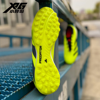adidas阿迪达斯猎鹰24高端TF碎钉人草训练比赛成人足球鞋男IG7730 IG7730-现货 41