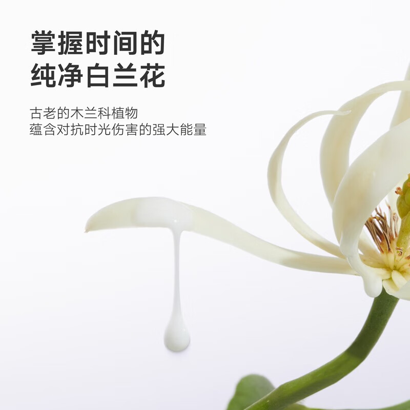  DAISY SKY/雏菊的天空 补水保湿 女士面膜