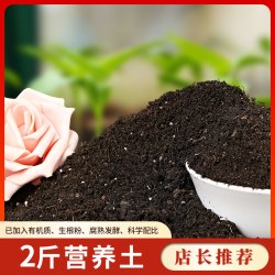 甜沃 通用型种花家用营养土 2斤