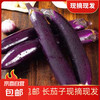 京喜自营-专用品牌 京东 浏阳 高山紫皮长茄 3斤 ±0.3斤