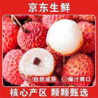 疆域时光 疆域采虹 福建黑叶荔枝 3斤 15g+单果