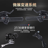 凤凰山地车折叠自行车成人男女青少年越野变速路虎赛车山地车 暗夜黑/辐条 24英寸 27速