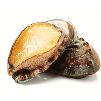 海蕴极鲜【活鲜】鲜活鲍鱼 新鲜烧烤食材