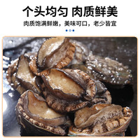 海蕴极鲜【活鲜】鲜活鲍鱼 新鲜烧烤食材 2只/斤 超大二头鲍