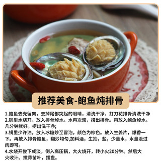 海蕴极鲜【活鲜】鲜活鲍鱼 新鲜烧烤食材 5-6只/斤 大号鲍鱼