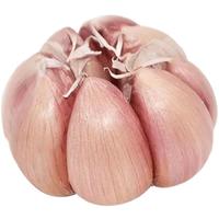 河南农家干大蒜5斤大蒜头新鲜大蒜紫白皮种子新干蒜9斤1斤蔬菜 1500g