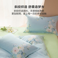 百丽丝家纺四件套纯棉床上四件套套件被套床单宿舍单人双人家用套件 新疆全棉套件 床单款 ()