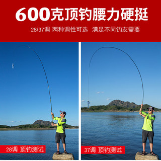 火玲珑28调37调鲫鱼竿台钓鱼竿手竿套装碳素超轻硬鲫鲤鱼竿手杆套装 5.7m 4H 28调 +5件套礼包套餐