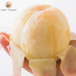 阳山 水蜜桃 一级果6-7两12个礼盒净重7.2斤