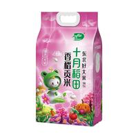 十月稻田香稻贡米5kg东北大米香米饭团用米2024年新米