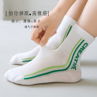 卡拉美拉（Caramella）儿童袜子女童男童春夏季棉袜亲肤透气可爱卡通休闲袜 网眼绿色小熊款5色 5双 4-6岁 (M)