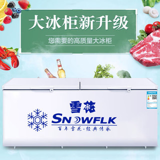  SNOWFLK/雪花 一级能效 冰柜  600L