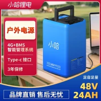 小哈电动车磷酸铁锂电池48V24AH带充电器转接口