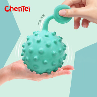 88VIP：Chentel 宝宝抓握训练球儿童甩甩抚触按摩球0-2-3岁婴幼儿益智玩具球