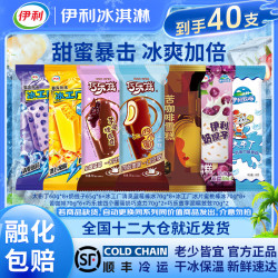 伊利 雪糕冰淇淋巧乐兹苦咖啡组合40支冰工厂大布丁奶提子雪糕40支 40支混搭大礼包（共2690g）