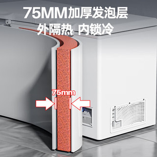  SNOWFLK/雪花 一级能效 冰柜  600L