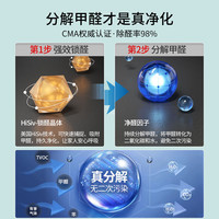 霍尼韦尔(Honeywell)活性炭除甲醛新房新车除异味车碳包竹炭包去甲醛空气治理专享TVOC 活性炭4盒40小包
