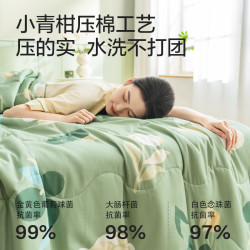 京东京造 7A抗菌全棉被 100%新疆棉花 空调夏被 2m